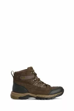 Ariat Skyline Summit Stiefel, Braun