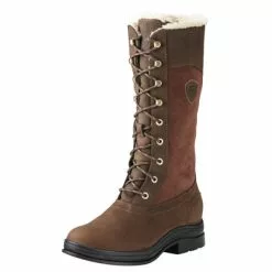 Ariat Wythburn Waterproof Insulated Boot 889359391478 Brown